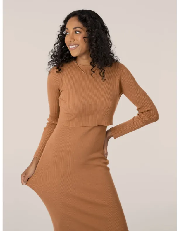 Kaylee Maternity & Nursing Midi Dress